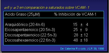 Acido Folico 5mg - Comercial Los Castillos